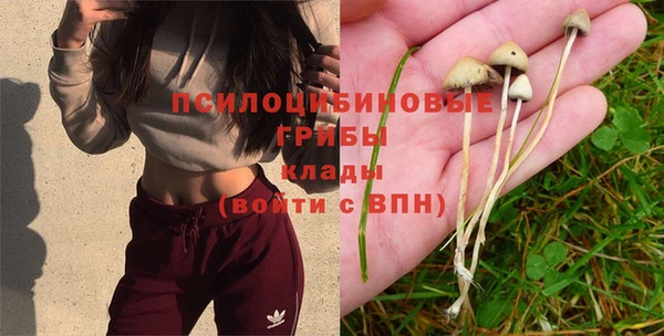 ALPHA PVP Белокуриха