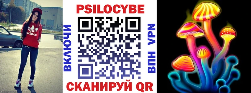 Галлюциногенные грибы Magic Shrooms  Купить где  Ладушкин 